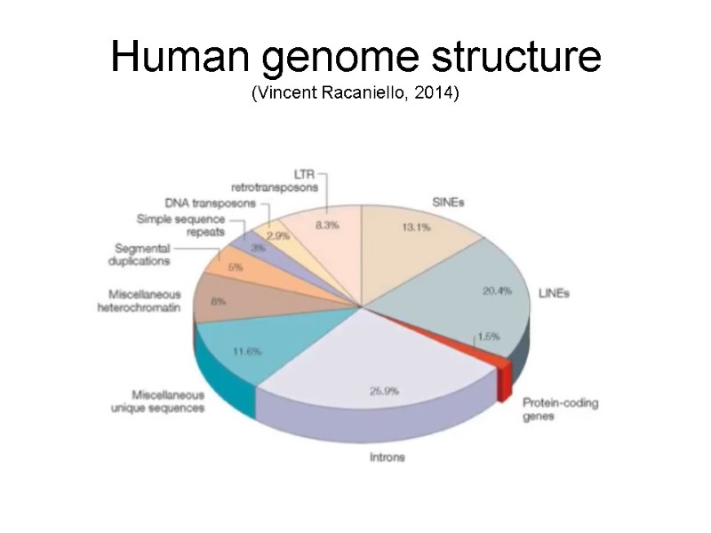 Human genome structure  (Vincent Racaniello, 2014)